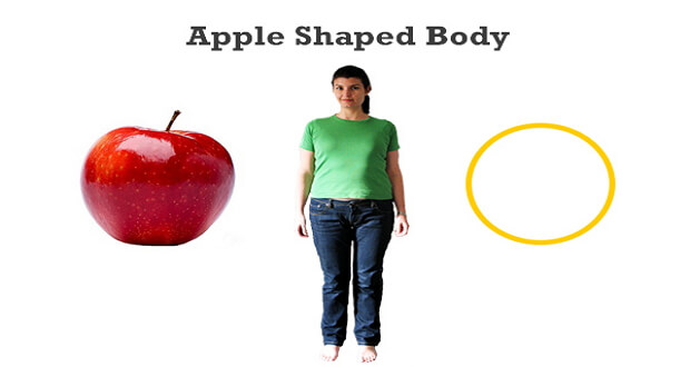 apple body type